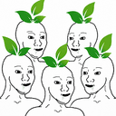 ORGANIC