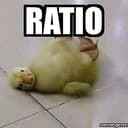 $RATIO