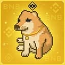 TOPDOG
