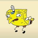 sponge