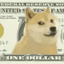 DOGE