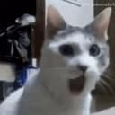 sc