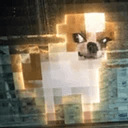 PIXEL