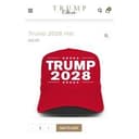 TRUMP2028