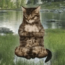 zen