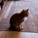Hobbes