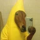 BHORSE