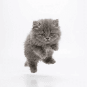 smol