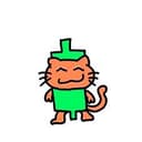 CandleCat