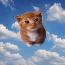 ‎ ‎
