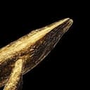 ANSEMWHALE