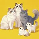 5CAT