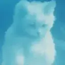 AIRCAT