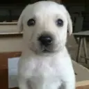 ______