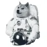 MOONDOGE