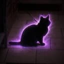 auracat