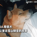 六六