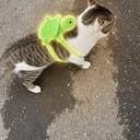 Trcatpak