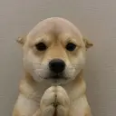 wifout