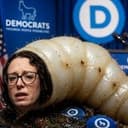 MAGGOT
