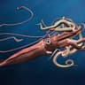 SQUID