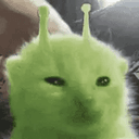 bub