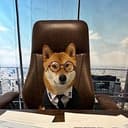 CEO.DOGE