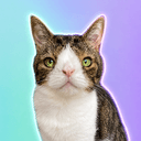 MONTY