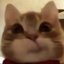 micho