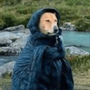 WDOG