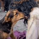 JesusDog
