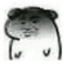WTHGO