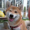 WINK