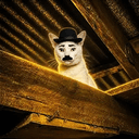 CharlieNugget