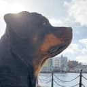 NALA