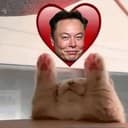 ELON