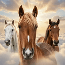 HORSES