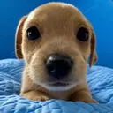 Billy