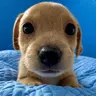 Billy