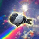 pijon