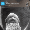 Motion