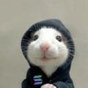 hoodrat