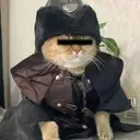 ZCAT
