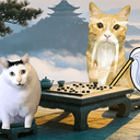 MASTERCAT