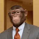 chimp