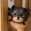 MASK