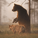 Friendship