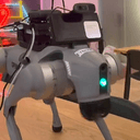 ROBODOG