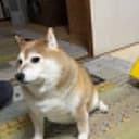 MANTEN