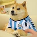 MessiDOG